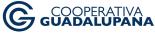 COOPERATIVA DE AHORRO Y CRÉDITO INTEGRAL PARROQUIAL GUADALUPANA RESPONSABILIDAD LIMITADA 