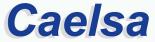 logo_CAELSA