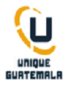 logo_UNIQUE GUATEMALA, S.A.