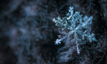 Curiosidades científicas sobre el invierno