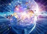5 cosas que tu cerebro necesita para desarrollar su potencial